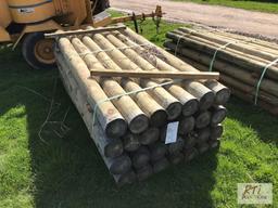28X 6in x 8ft treated posts