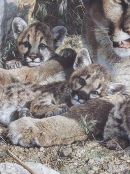 Carl Brenders Rocky Camp-Cougar Family Lithograph