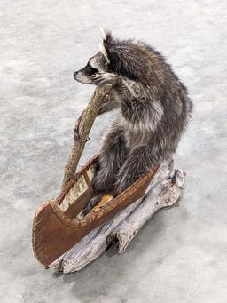 Full Body Racoon on a Birch Bark Canoe