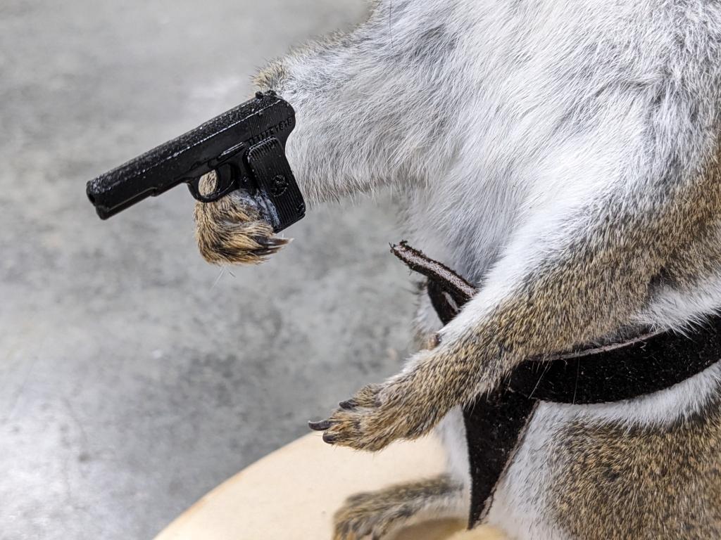 Pistol Packin Full Body Grey Squirrel