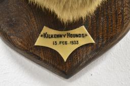 Williams & Son Taxidermy Red Fox Kilkenny Hunt