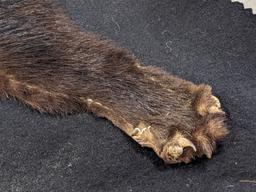African Civet Cat Full Body Rug on Felt Mat