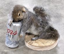 Drunk Drinkin Full Body Grey Squirrel w/ Coors