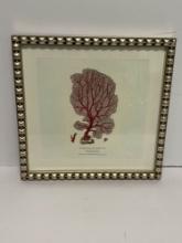 BEAUTIFULLY FRAMED BOOKPLATE OF CORAL