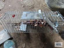 Medium sized live animal trap