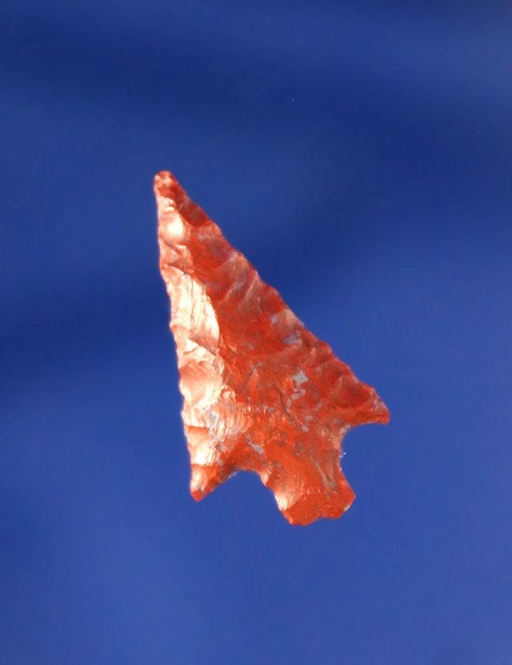 3/4" Gem Point found near the Columbia River that is nicely flaked from colorful red Jasper.