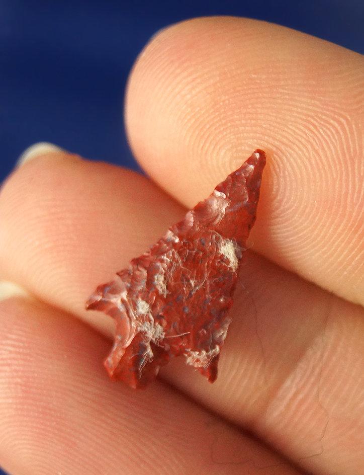 3/4" Gem Point found near the Columbia River that is nicely flaked from colorful red Jasper.