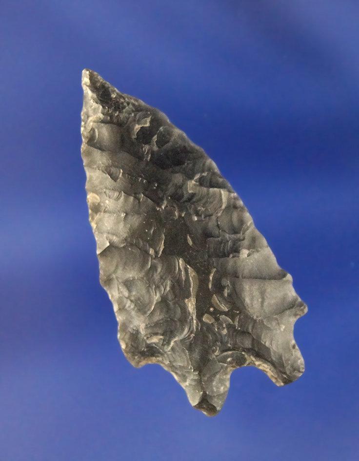1 9/16" Obsidian Pinto Basin found by Hank Casiday in Lake County Oregon. This point was part of the