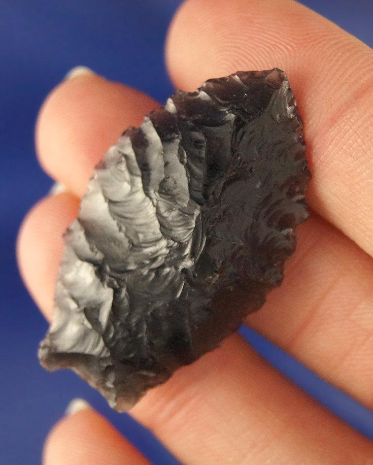 1 1/2" Obsidian Humboldt Constricted Base with nice flaking found in Oregon. Ex. Updike Collection.