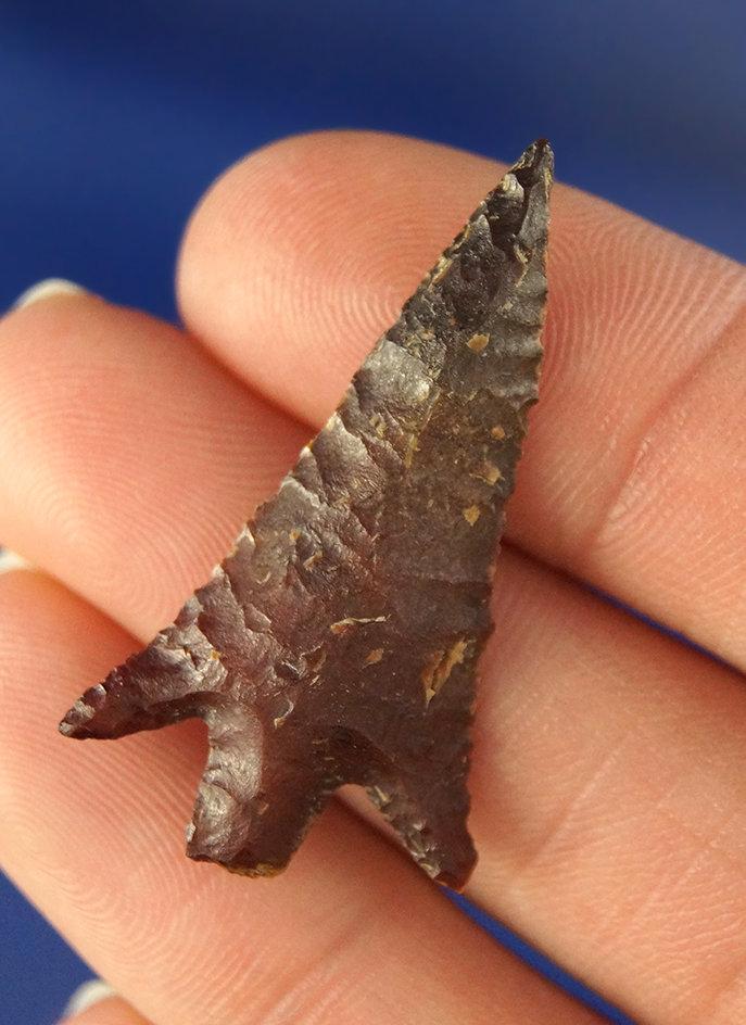 1 7/16" beautifully made Jasper Arrowhead that is well patinated and in excellent condition. Found n