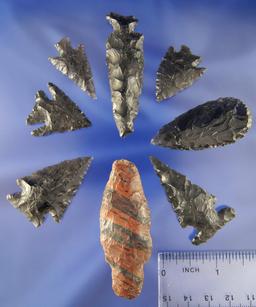 Set of eight assorted Obsidian Arrowheads found near Klamath Lake, Oregon. Largest is 3 5/8". Ex. Up