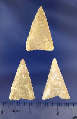 Set of three Triangular Arrowheads found in Texas, largest is 1 5/8".