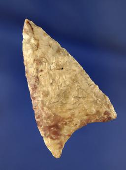 2 3/4"arrowhead made of colorful Jasper found near the Wakemap mound site on the Columbia River. Ex.