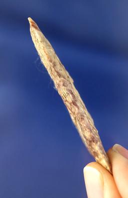 2 3/4"arrowhead made of colorful Jasper found near the Wakemap mound site on the Columbia River. Ex.