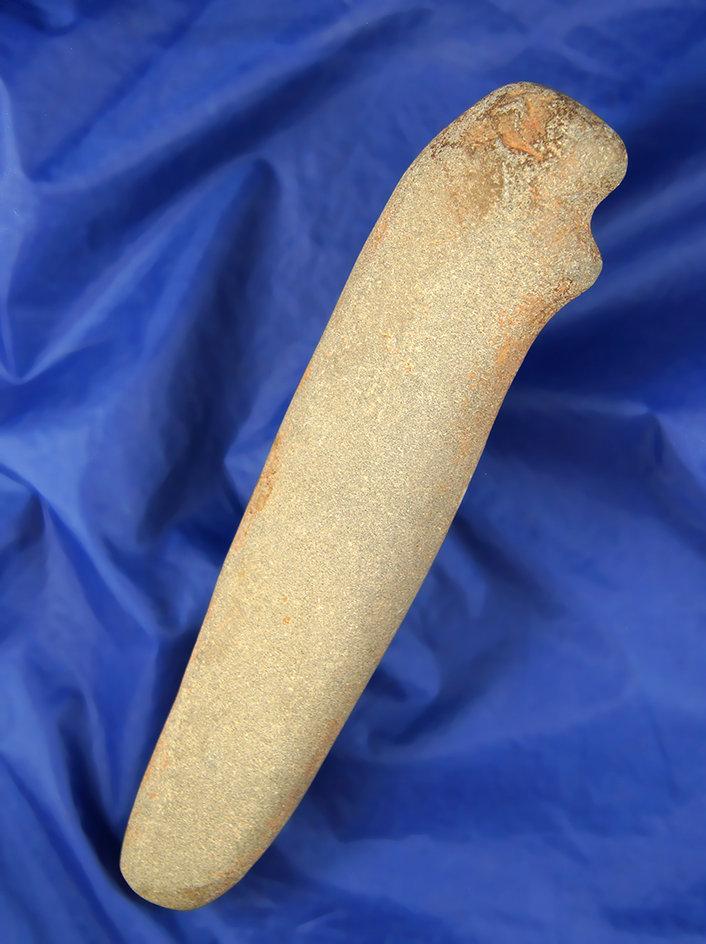 Rare, intact Columbia River Stone Club, fine grain stone, 9" L. Found on the Lower River.