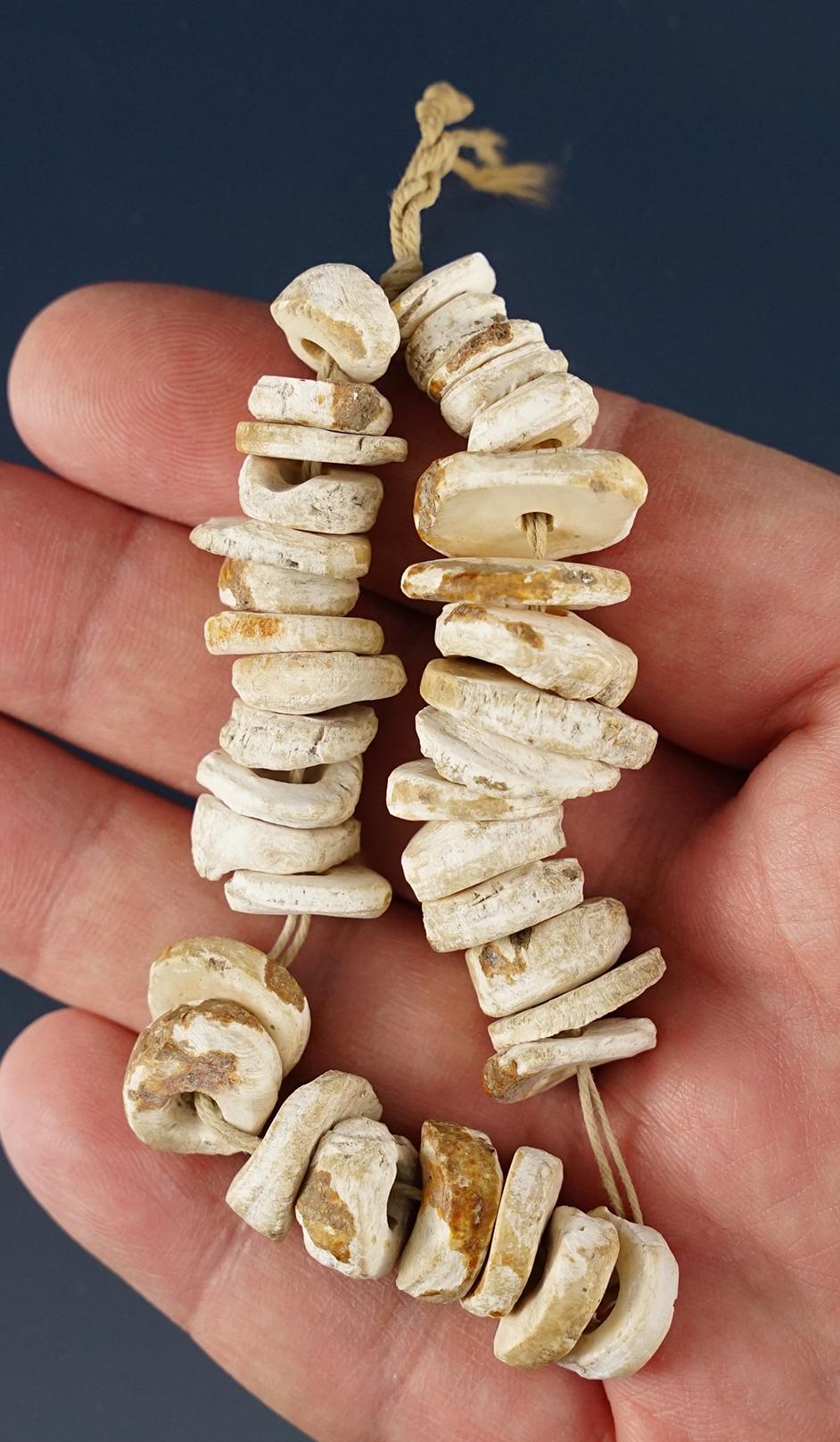 6" long strand of drilled shell beads found in Hardy, Arkansas by Henry Hudson Norman Jr.