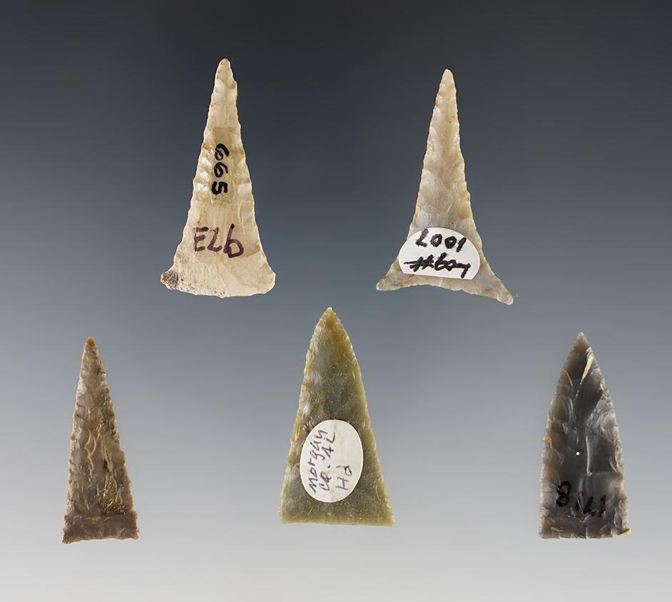 Set of 5 well made Triangle points found in the Kentucky/Tennessee area. The largest is 1 7/16".