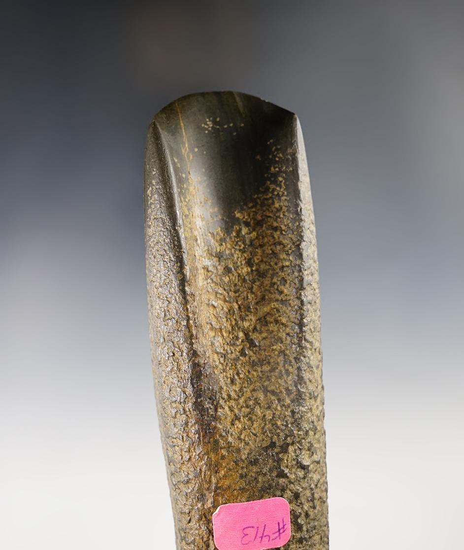 Sale highlight! Exceptional 8 3/8" Fluted Hardstone Gouge - Lincoln Co., Maine. COA. Ramp # 413.