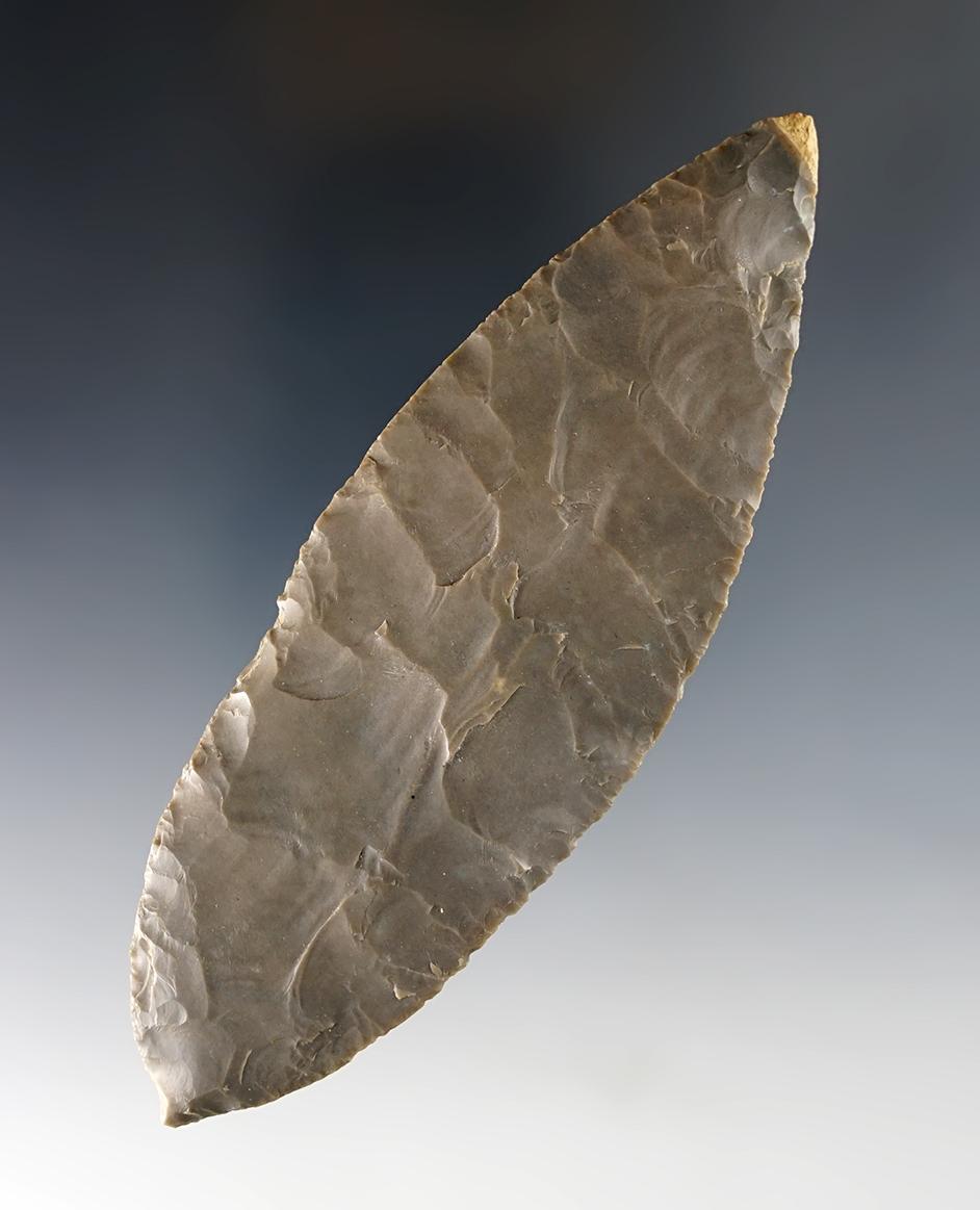 4 7/8" Turkeytail Blade - Hornstone,  Berrien Co., MI. Pictured! Ex. Stephens. Davis G-10 COA.