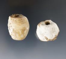 Pair of Large Knobby Shell Beads found at the Upper Cayuga Great Gully Site. Largest is 1 3/8".
