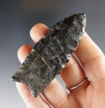 3 1/8" Paleo Clovis made from Coshocton Flint with nice flutes on both faces - Ohio. COA.