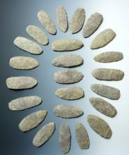 Cache of 24 Patelas Blades found in Woolwich Twp., New Jersey by Luke Shinn. Argillite.