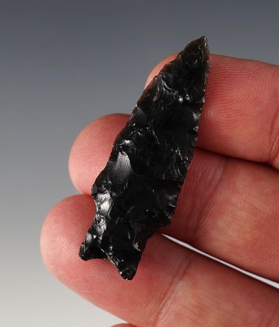 1 13/16" Pinto made from Obsidian. Found in Owyhee Co., Idaho. Byrd COA.