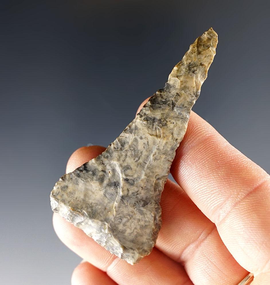 2 1/2" Ft. Ancient Drill made from Coshocton Flint. Found in Allen Co., Ohio. Davis COA.