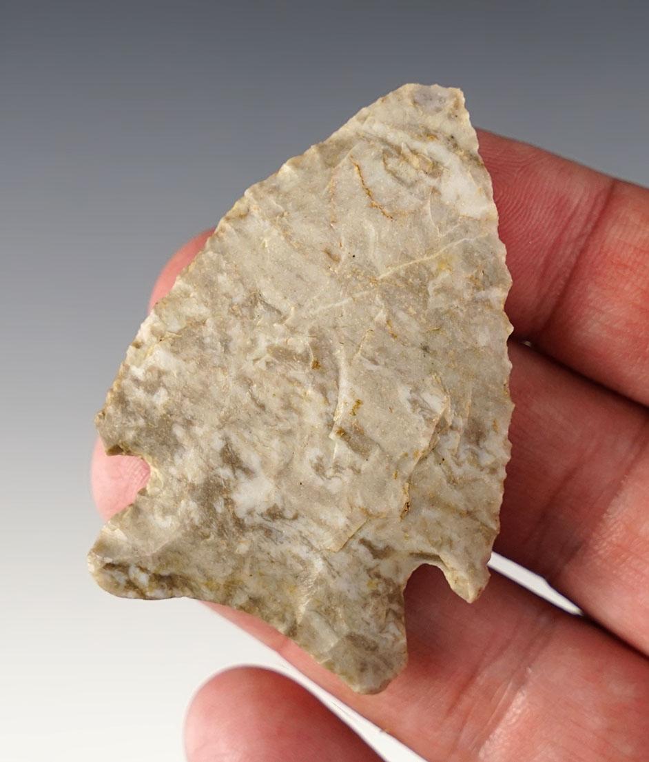 Classic styled 2 7/16" Archaic Cornernotch found in Ohio. Made from Coshocton Gray Flint.