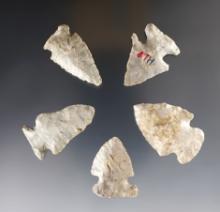 Set of 5 Indiana points all made from Attica (Indiana Green) Chert. The largest is 1 11/16".
