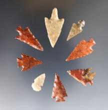 Set of 8 colorful points found in the Southwestern U.S. The largest is 1 5/16".