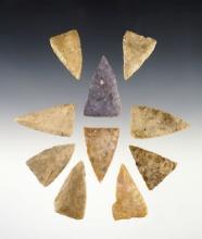 Set of 10 Triangle points found by Randall Sunderland in the Big Bend area of Texas.