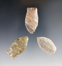 Set of 3 nice Paleo Dart points found in the Kentucky/Indiana area. The largest is 1 11/16"