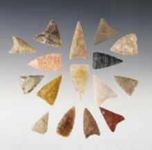 Set of 16 Triangle points found by Randall Sunderland in the Big Bend area of Texas.
