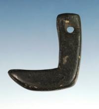 Fine 1 1/8" Engraved Tooth Effigy Pendant made from Cannel Coal. Found at the Fox Field Site