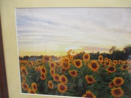 Framed and Matted Sunflower Field Photo Print