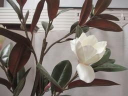 Artificial Magnolia Tree in Glazed Planter