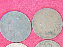 (6) Indian Head Cent