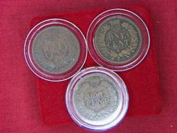 (3) Indian Head Cent 1900, 1901, 1902