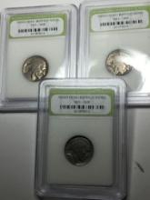 Slabbed Coin Lot Buffalo Nickels 3 Slabs