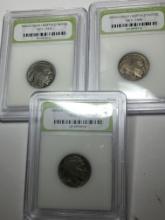 Slabbed Coin Lot Buffalo Nickels 3 Slabs