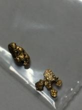 Gold Nuggets Alaskan Yellow Top End 22 Kt Top End Yellow .167 Grams