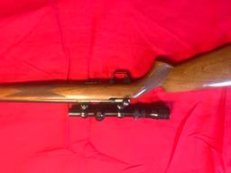Belgium Browning T-Bolt, .22 LR, Bolt Action with Bushnell 4x Scope