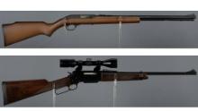 Two Rifles