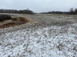 20.98 +/- Acres of wooded and open land