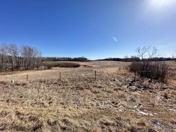 20.98 +/- Acres of wooded and open land