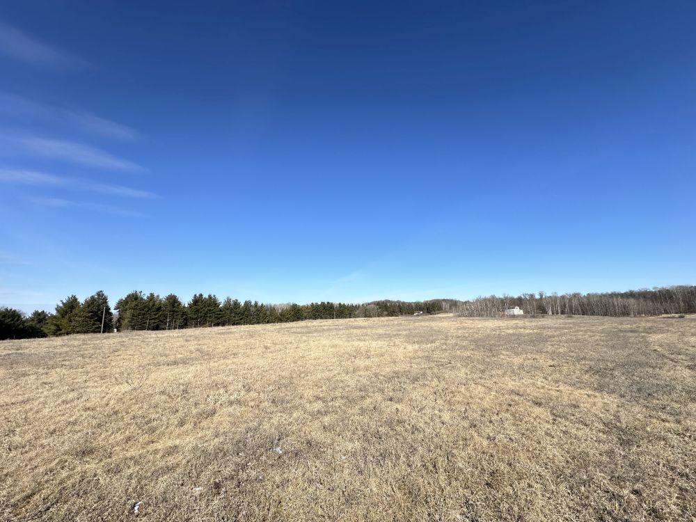 16.48 +/- Acres of wooded and open land with pond views