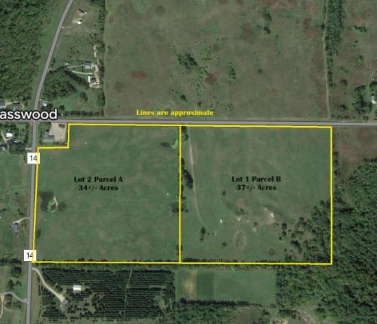 71 +/- Acres of Land in Basswood/Richville, MN