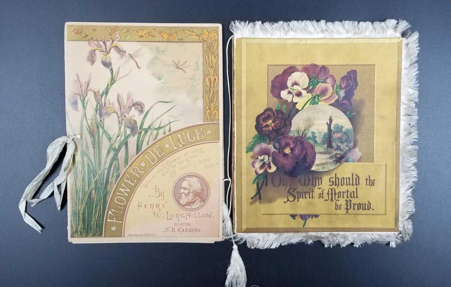 2 books from 1883