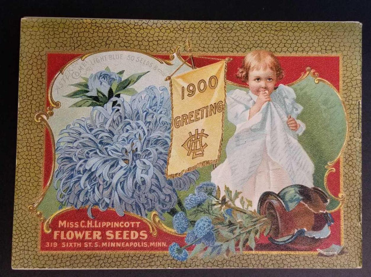 Lippincott Seed Catalogs 1899 and 1900